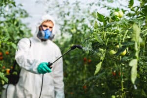 Man spraying pesticide on crops - pesticide linked to COPD