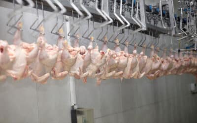 PA Poultry Processor Held in Contempt Over Unpaid OSHA Fines